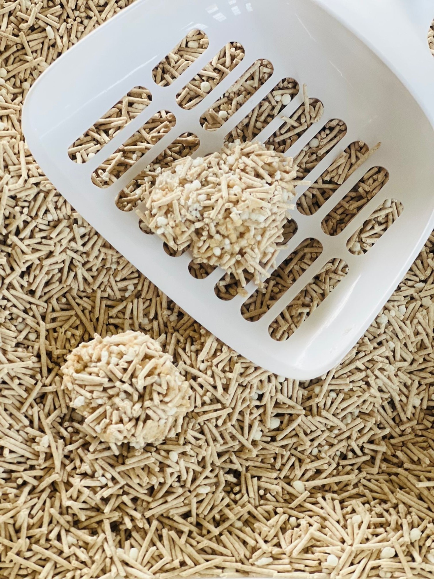 Rice Husk Mix Cassava Cat Litter
